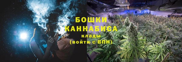 ECSTASY Майский