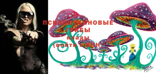 гидропоника Медвежьегорск