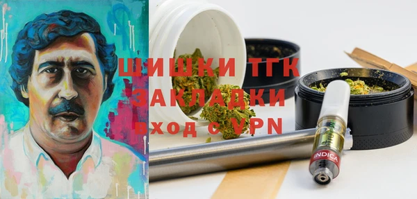 ECSTASY Майский