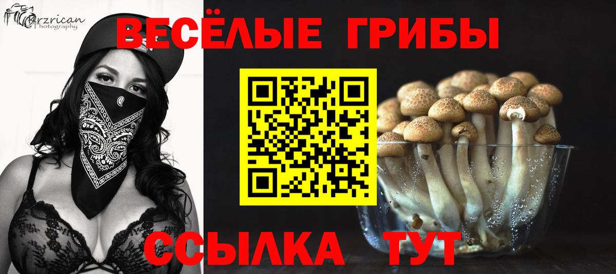 Находка  купить закладку  Вход с VPN  Псилоцибиновые грибы Psilocybine cubensis 